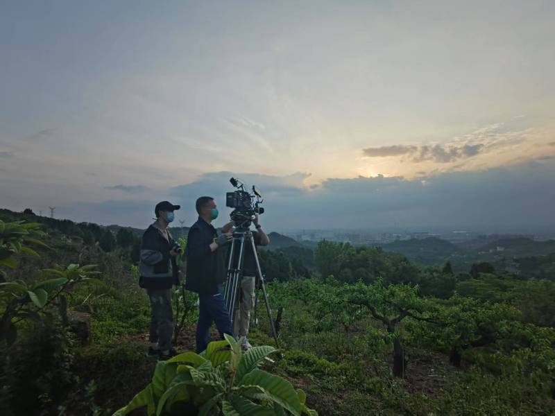 创意破圈！香格里拉县电商产品宣传视频用故事化叙事引爆流量